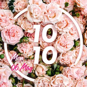Floraison Roses by VAYDER