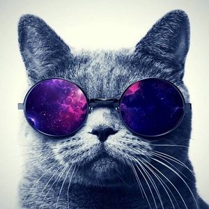 Sale profile picture