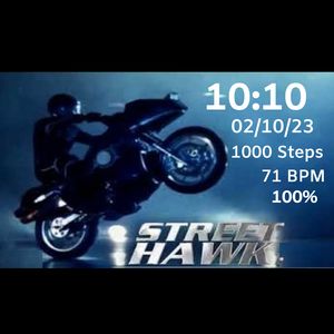 Street Hawk by Vishwa S