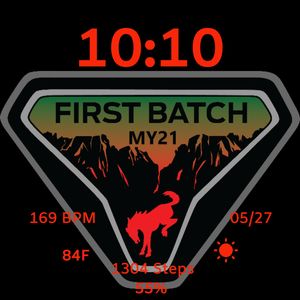 MY21 First Batch Bronco by Josh Creswell