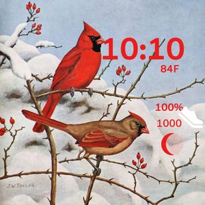 Winter Cardinals by Atvrider