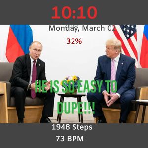 Trump and Putin by Joe