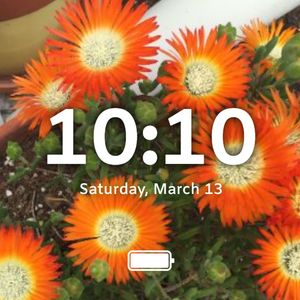 Orange flowers by Erin McCollum