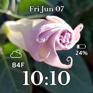 Moon Flower Spiral 3 by MJS Designs