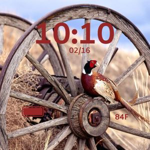 Pheasant on a Wheel by Atvrider