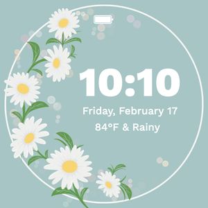 Spring Daisy by Summer L Peffers