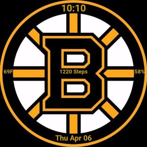 boston bruins by MrSig226