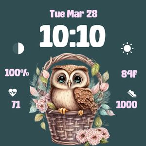 Spring Owl by Ginger