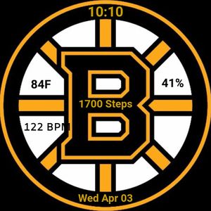 boston bruins1 by MrSig226