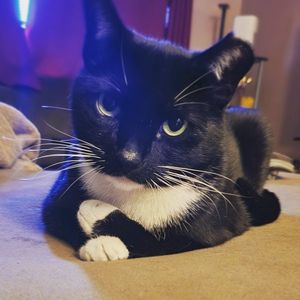 heymacy profile picture