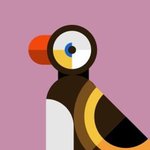 Tim profile picture