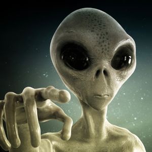 John Sims profile picture