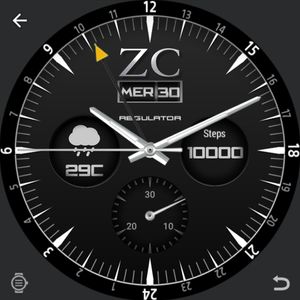 REGULATOR by Zerocool Corporation