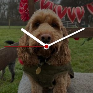 Cockapoo Clock by Barry T Whyte