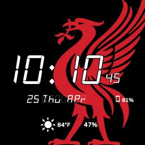 LFC Liverpool by Suresh LA
