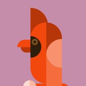 Sam profile picture
