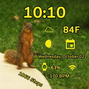 Squirrel Time 01 by MJS Designs