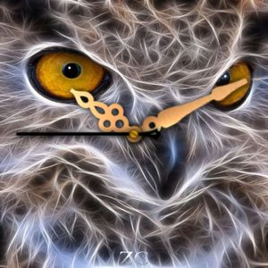 OWLS by Zerocool Corporation