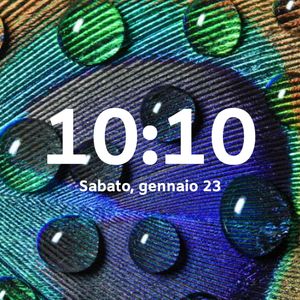Pavone by Portodimare