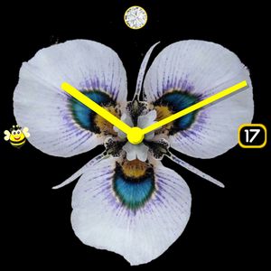 Happy Bee! by TiBorg