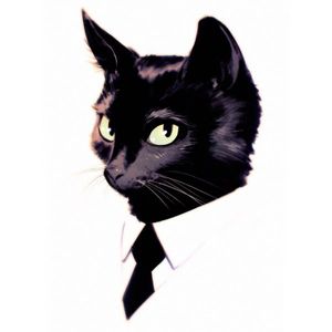 cneltym profile picture