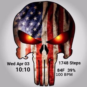 American Flag Punisher by MrSig226