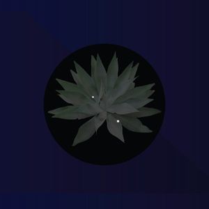 Nardo Bardot profile picture