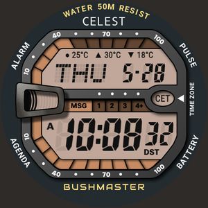 CELEST5576 Lite by CELEST Watches
