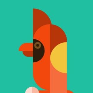 Oz profile picture