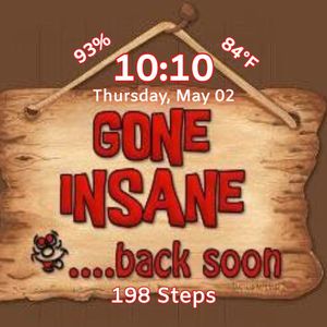 Gone Insane by Ronda