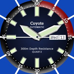 Coyote Automatic by David Webster