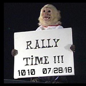 Angels' Rally Monkey by Watches by Kaci