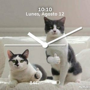 cat ok by anguisita