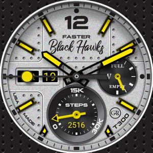 Black Hawks T300 - GS by GRR