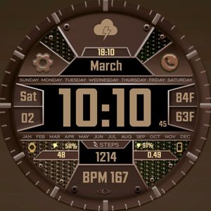 BCW Data Digest CHOCOLATE by Capo