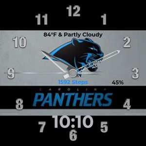 Carolina Panthers by xpgamer