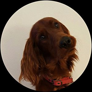 JOHNNY profile picture