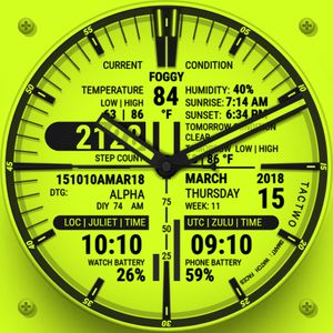 DUAL INFO V3.1 DTG - THEMEABLE by TACTWO TACTICAL