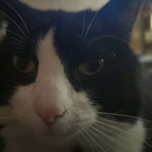 Hermione profile picture