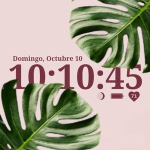 monstera by dariel