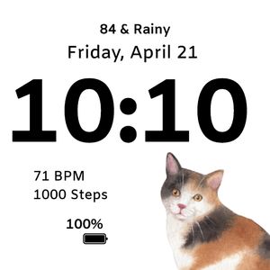 Calico Cat by Bridgeabee