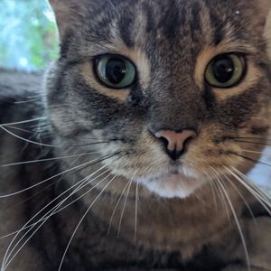 Test Name profile picture