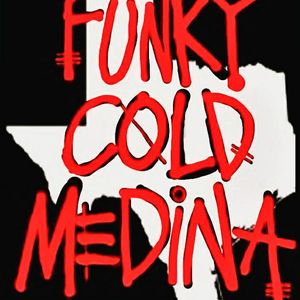 elifunky profile picture