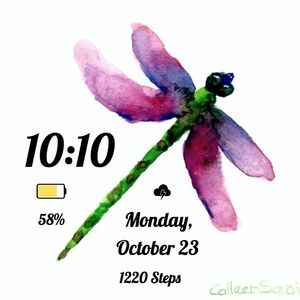 Dragonfly by pacingpoet