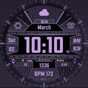 BCW Data Digest Amethyst by Capo