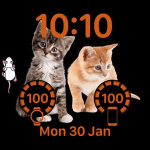 Kitty Cats by Gizmo411