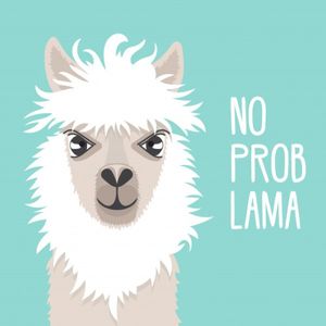 An_nA profile picture
