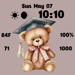 Graduation Teddy Bear by Ginger