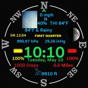 Weather Wind Rose 2 by Jim Myers