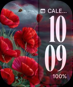 ⭐Memorial Tribute⭐ by The Fitbit Gal™️